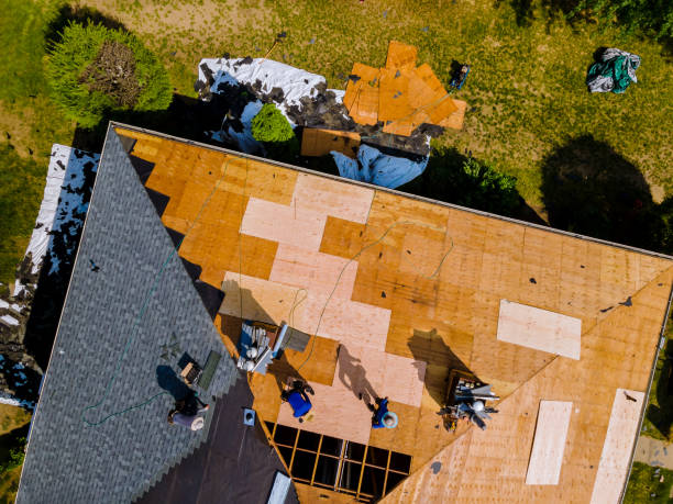 Professional Roofing Contractor in Monrovia, CA